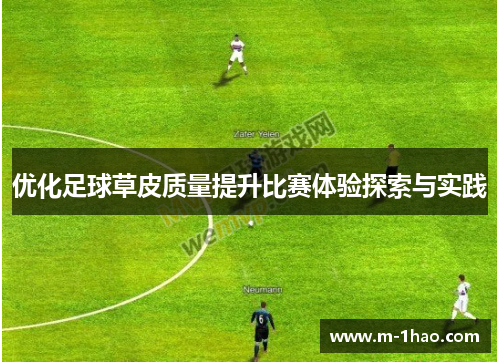 优化足球草皮质量提升比赛体验探索与实践
