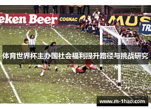 体育世界杯主办国社会福利提升路径与挑战研究