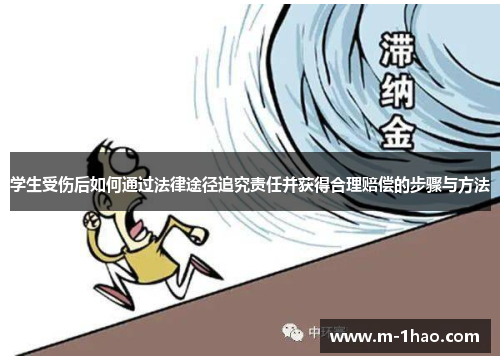 学生受伤后如何通过法律途径追究责任并获得合理赔偿的步骤与方法