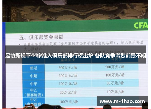 足协新规下44家准入俱乐部排行榜出炉 各队竞争激烈前景不明