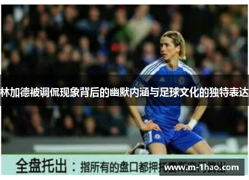林加德被调侃现象背后的幽默内涵与足球文化的独特表达